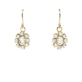 Francesca Crystal Drop Earrings