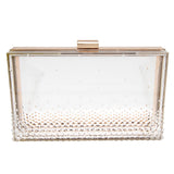 Gwen Lucite Crystal Clutch