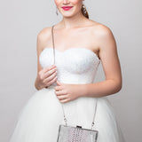 Madison Butterfly Crystal Lucite Clutch