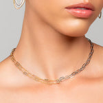 Model wearing Tiffany necklace with pendant in the back by Ariel Taub, showing the front view of the mix metal choker necklace