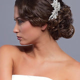 Anette Crystal and Beaded Hairpiece