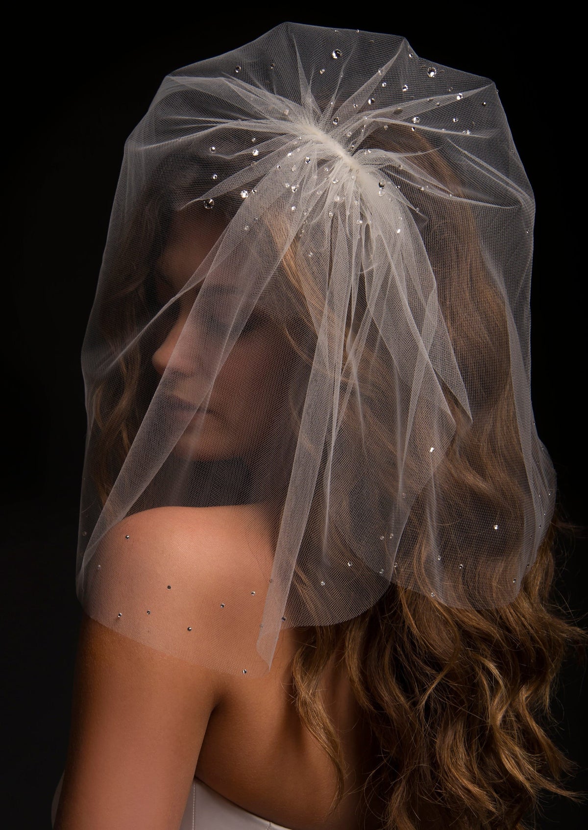 NWT Dixie Short Crystal Veil Short Wedding Veil | Shoulder Length Veil | Modern Wedding  main image 4