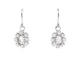 Francesca Crystal Drop Earrings