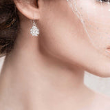 Francesca Crystal Drop Earrings